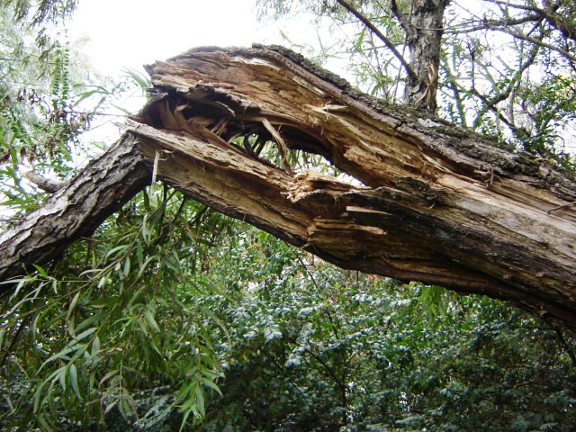 Foto de Acasusso, Buenos Aires, Argentina