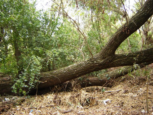 Foto de Acasusso, Buenos Aires, Argentina