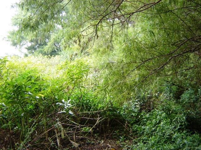 Foto de Acasusso, Buenos Aires, Argentina