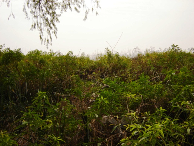 Foto de Acasusso, Buenos Aires, Argentina