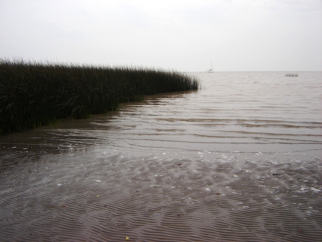 Foto de Acasusso, Buenos Aires, Argentina
