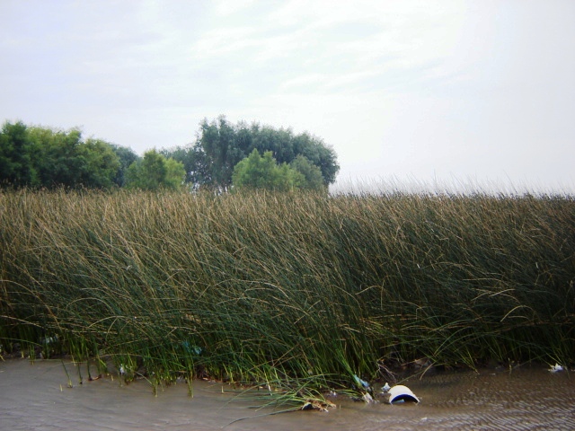 Foto de Acasusso, Buenos Aires, Argentina