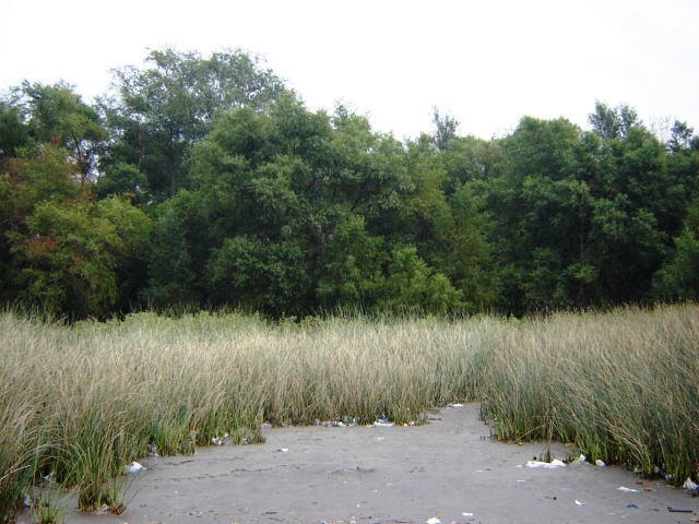 Foto de Acasusso, Buenos Aires, Argentina