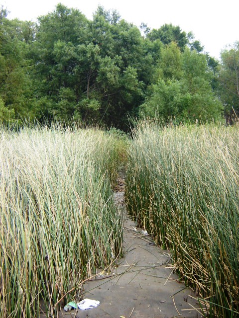 Foto de Acasusso, Buenos Aires, Argentina