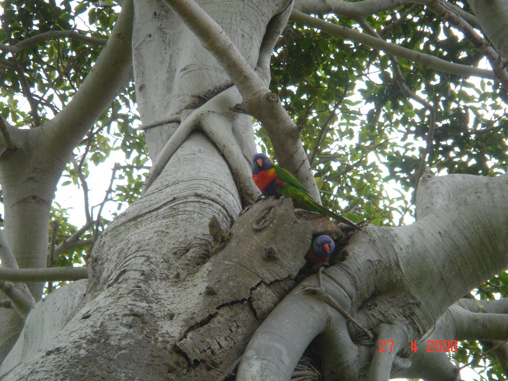 Foto de Sydney, Australia