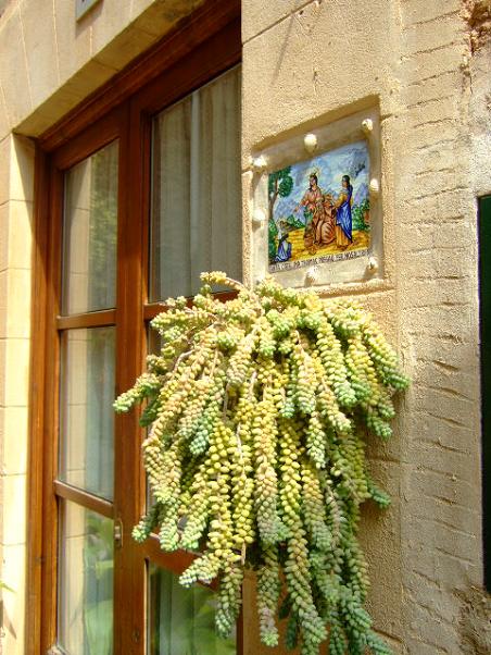 Foto de Valldemossa (Illes Balears), España