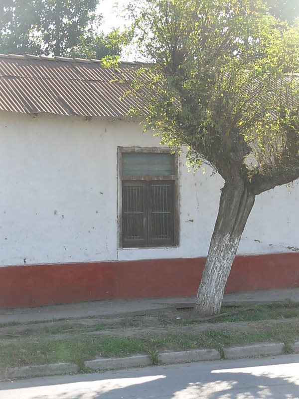 Foto de Paine, Chile