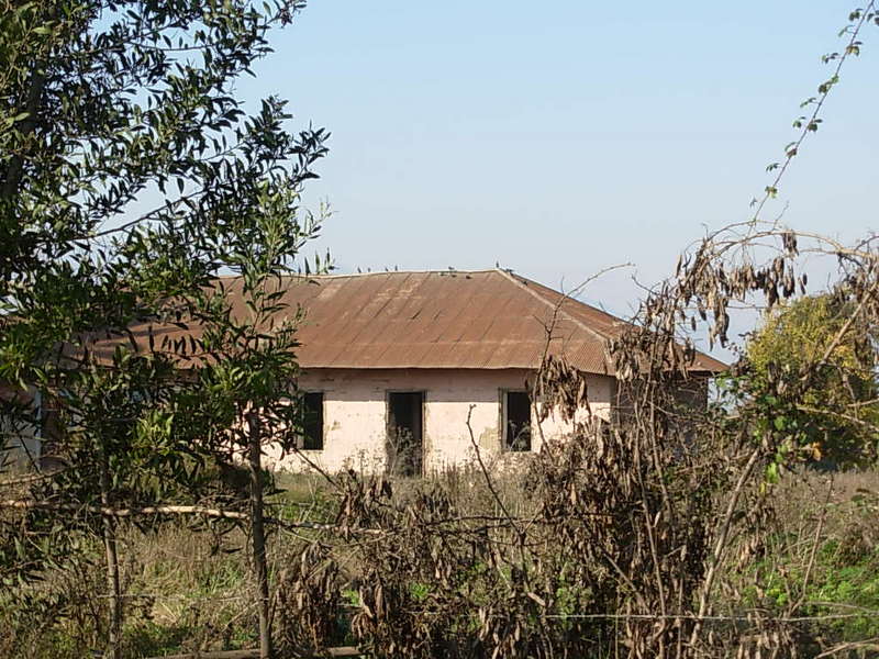 Foto de Paine, Chile