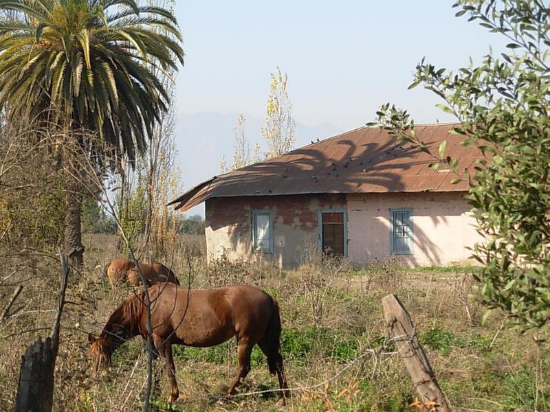 Foto de Paine, Chile