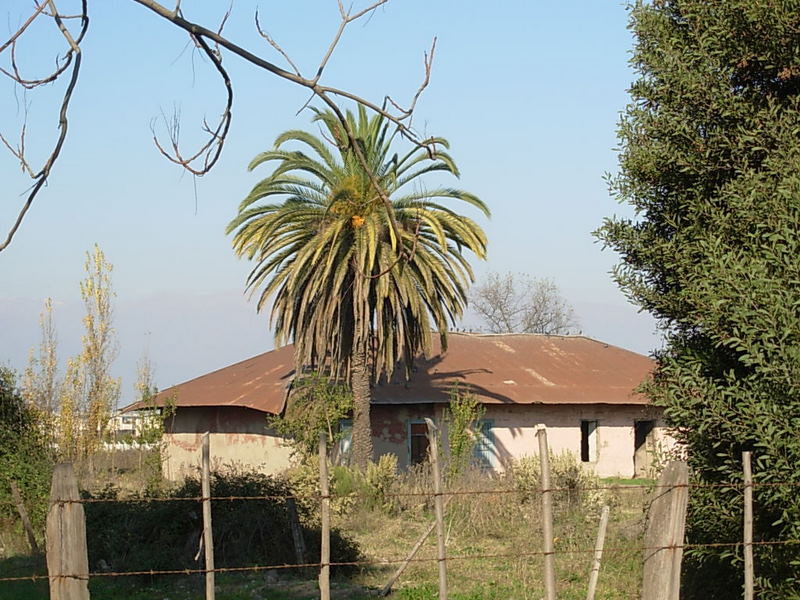 Foto de Paine, Chile