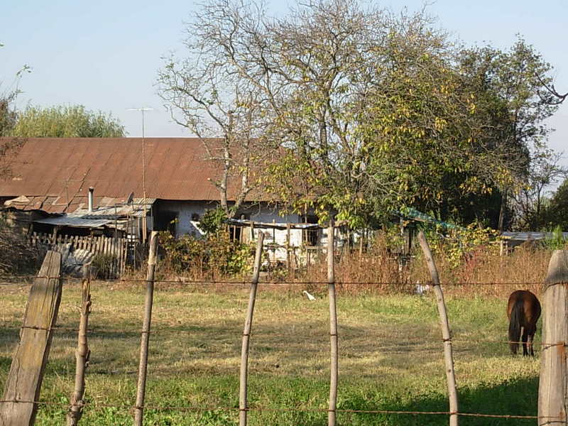 Foto de Paine, Chile