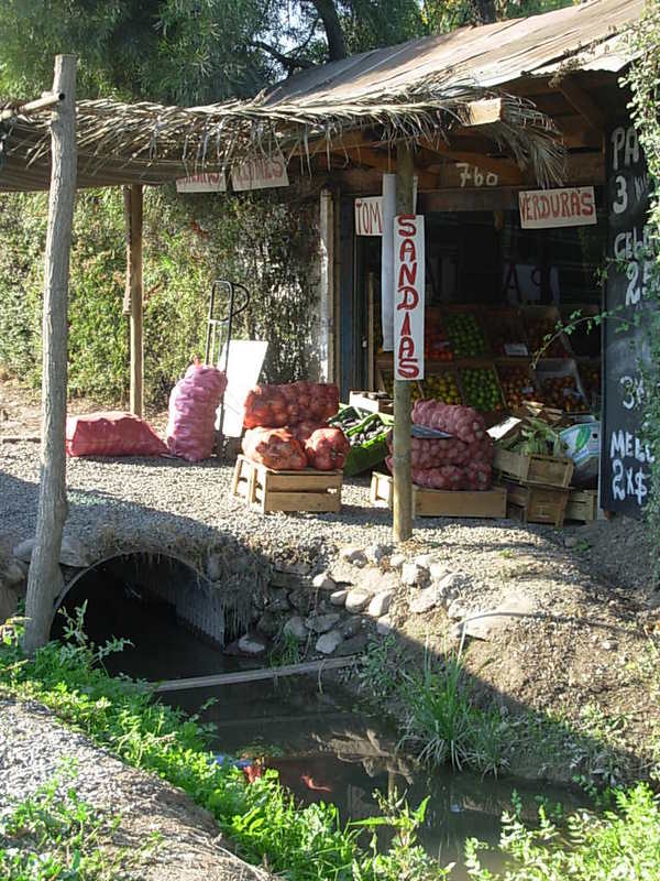 Foto de Paine, Chile