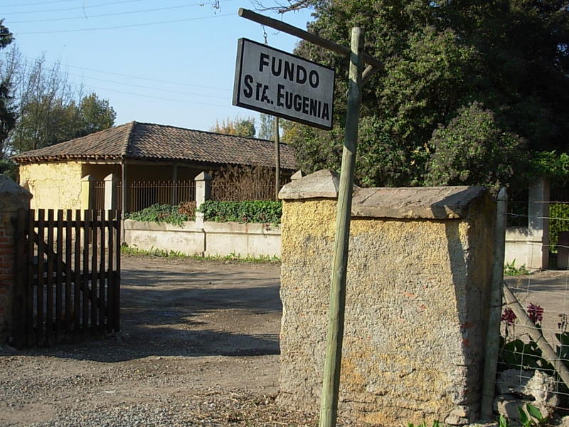 Foto de Paine, Chile