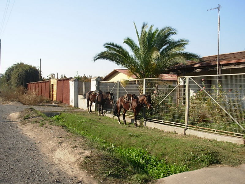 Foto de Paine, Chile