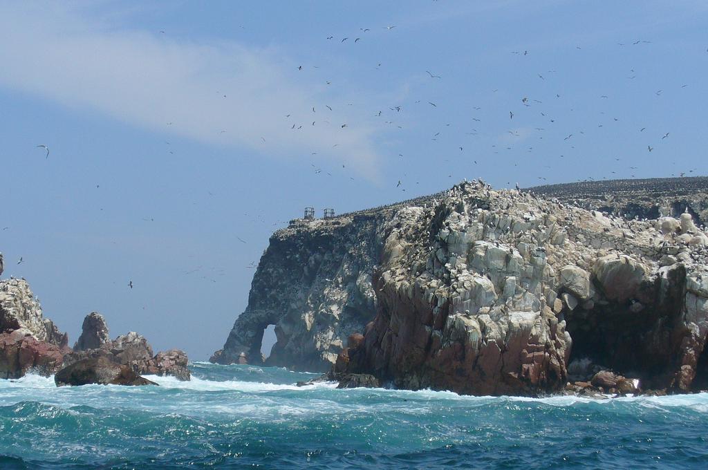 Foto de Paracas, Perú
