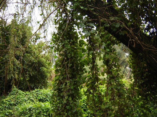 Foto de Acasusso, Buenos Aires, Argentina