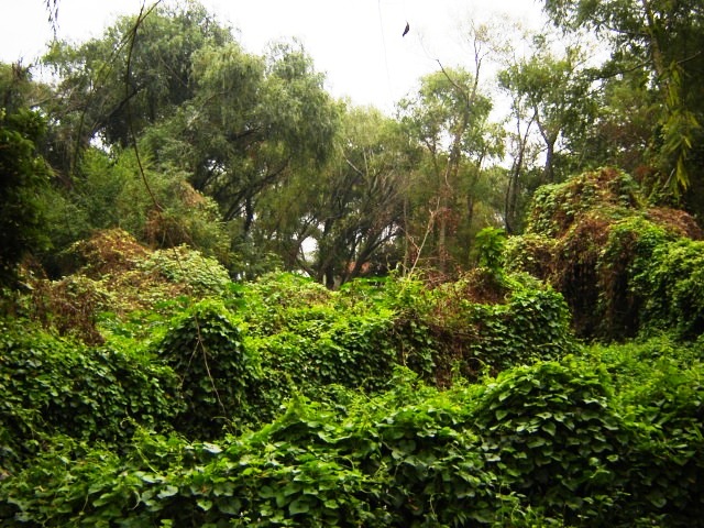 Foto de Acasusso, Buenos Aires, Argentina