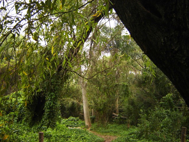 Foto de Acasusso, Buenos Aires, Argentina