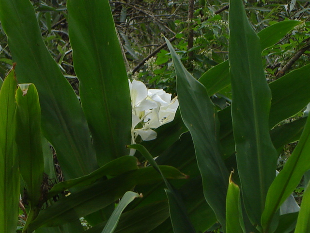 Foto de Acasusso, Buenos Aires, Argentina