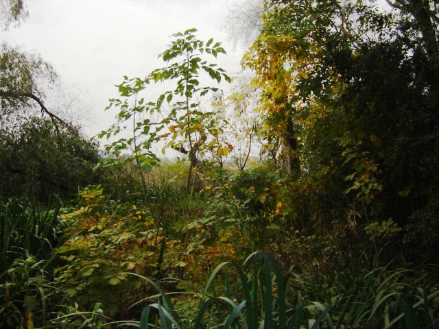 Foto de Acasusso, Buenos Aires, Argentina