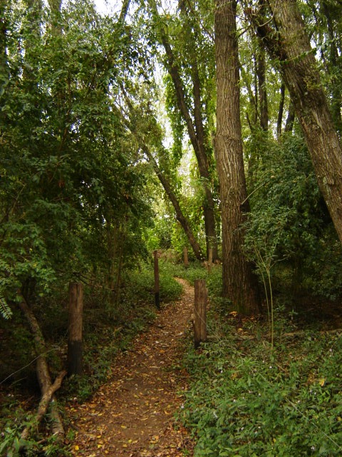 Foto de Acasusso, Buenos Aires, Argentina