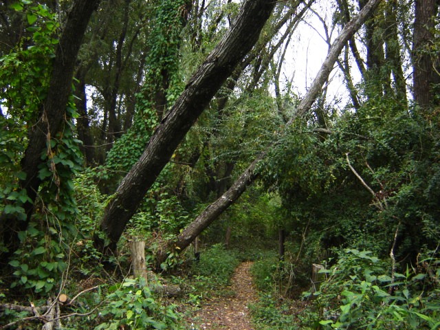 Foto de Acasusso, Buenos Aires, Argentina