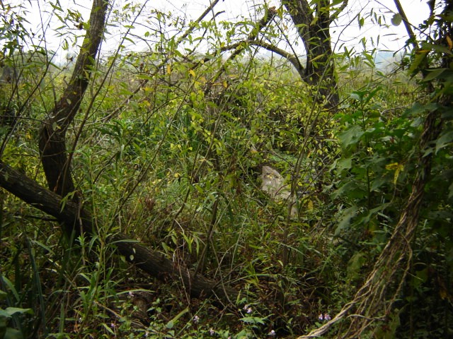 Foto de Acasusso, Buenos Aires, Argentina