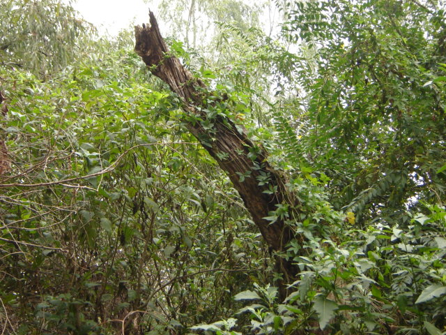 Foto de Acasusso, Buenos Aires, Argentina