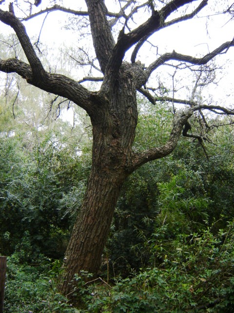 Foto de Acasusso, Buenos Aires, Argentina