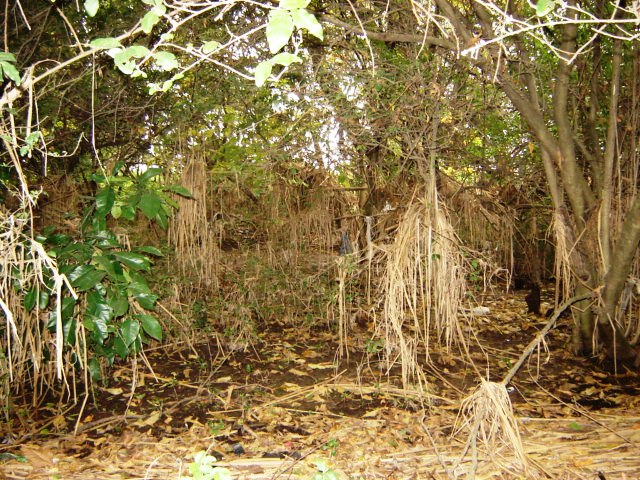 Foto de Acasusso, Buenos Aires, Argentina