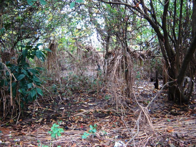 Foto de Acasusso, Buenos Aires, Argentina