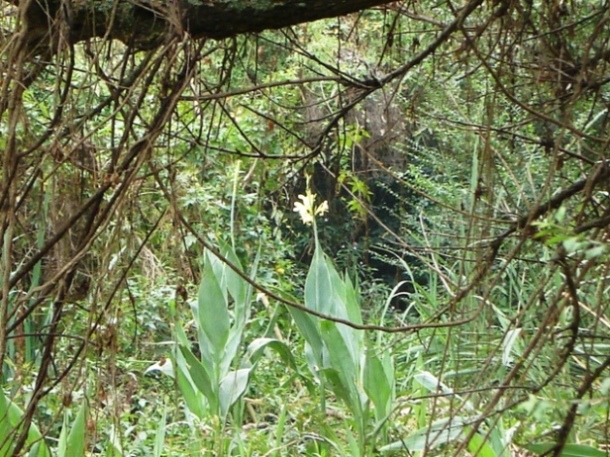 Foto de Acasusso, Buenos Aires, Argentina