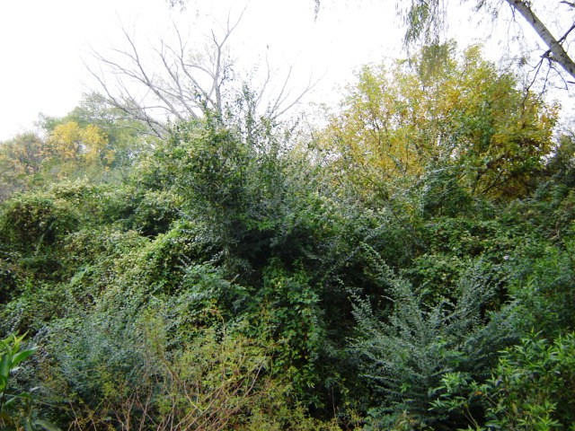 Foto de Acasusso, Buenos Aires, Argentina