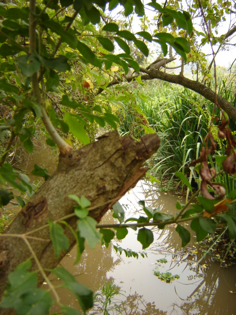 Foto de Acasusso, Buenos Aires, Argentina