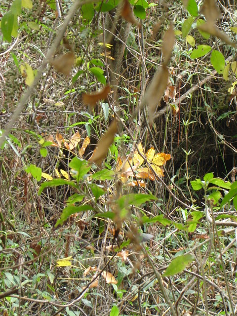 Foto de Acasusso, Buenos Aires, Argentina