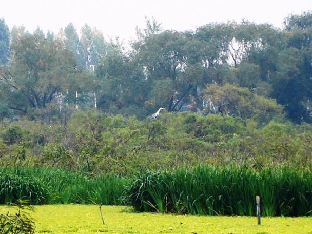 Foto de Acasusso, Buenos Aires, Argentina