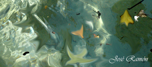 Foto de Cádiz (Andalucía), España