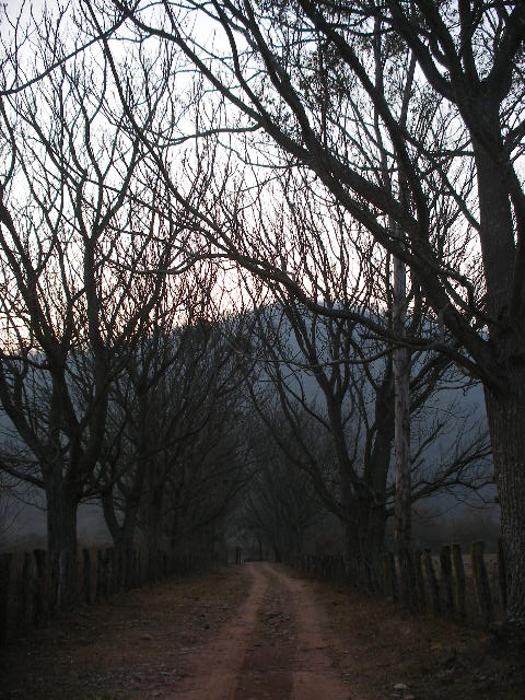 Foto de Tarija, Bolivia