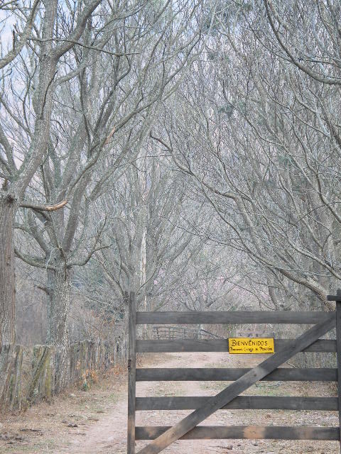 Foto de Tarija, Bolivia