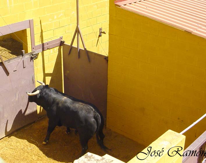 Foto de Jerez de la Frontera (Cádiz), España