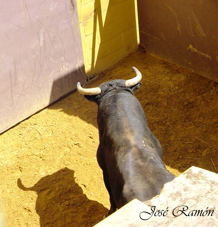 Foto de Jerez de la Frontera (Cádiz), España