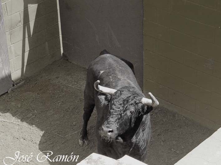 Foto de Jerez de la Frontera (Cádiz), España