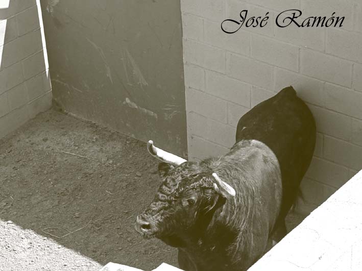 Foto de Jerez de la Frontera (Cádiz), España