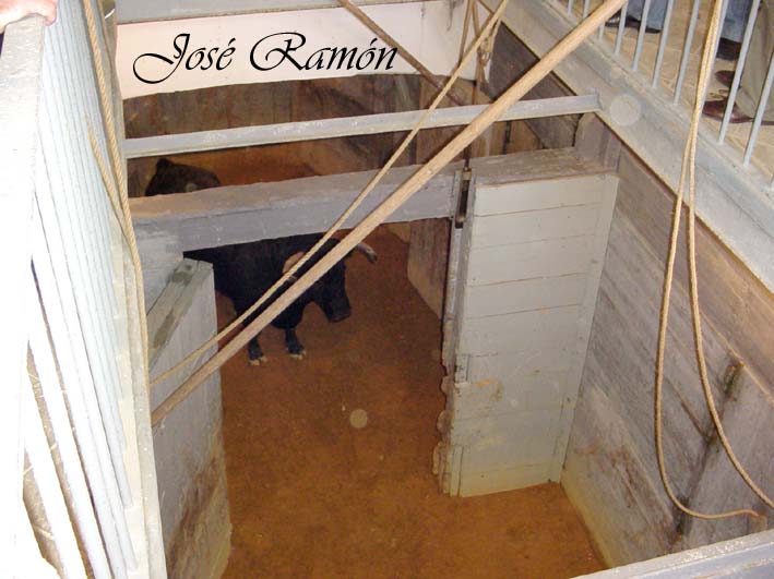 Foto de Jerez de la Frontera (Cádiz), España