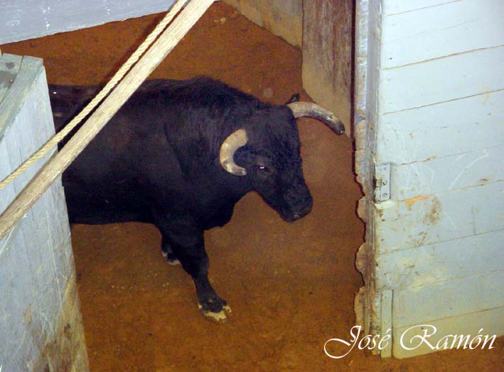 Foto de Jerez de la Frontera (Cádiz), España