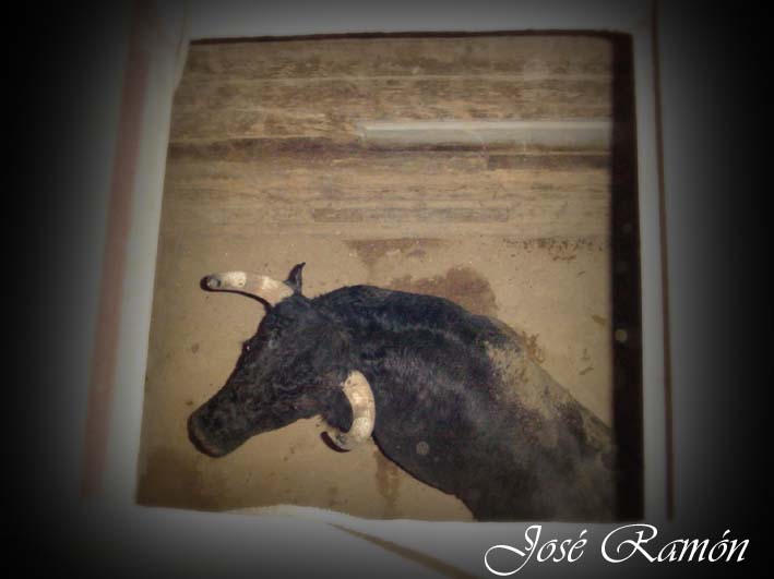 Foto de Jerez de la Frontera (Cádiz), España