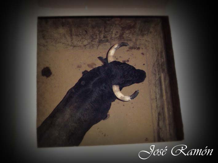 Foto de Jerez de la Frontera (Cádiz), España