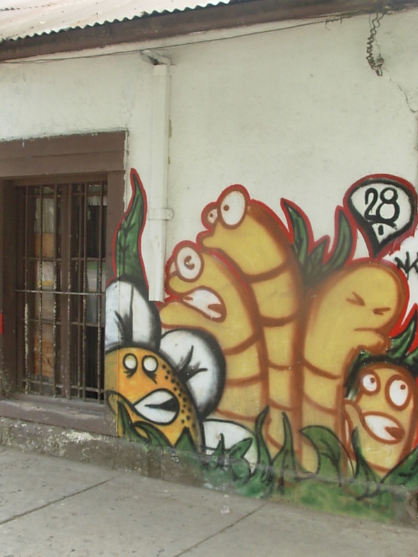 Foto de Llay Llay, Chile