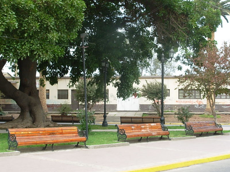 Foto de Llay Llay, Chile