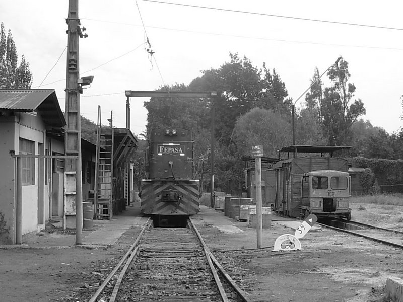 Foto de Llay Llay, Chile